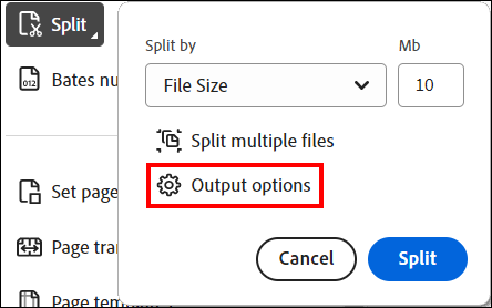 Adobe Acrobat Pro - Split by window - Output options.png